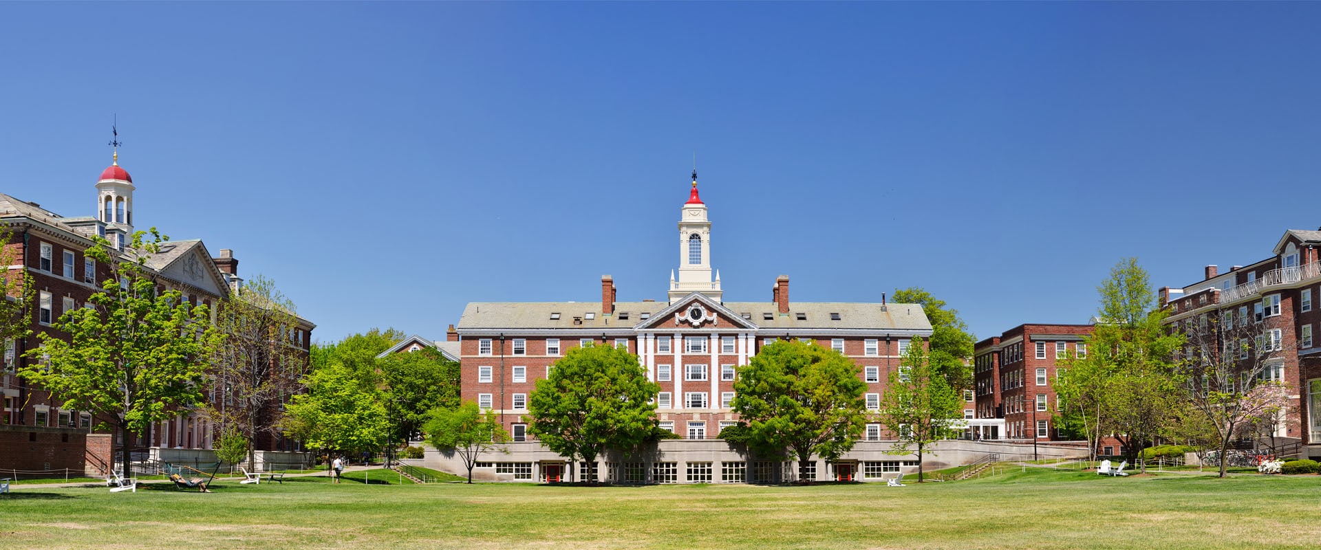 Broaden the Search for Talent Blog - Harvard