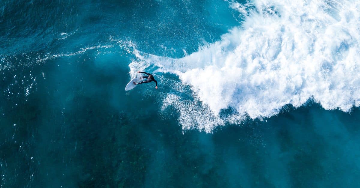 How talent intelligence helps you thrive in uncertain times