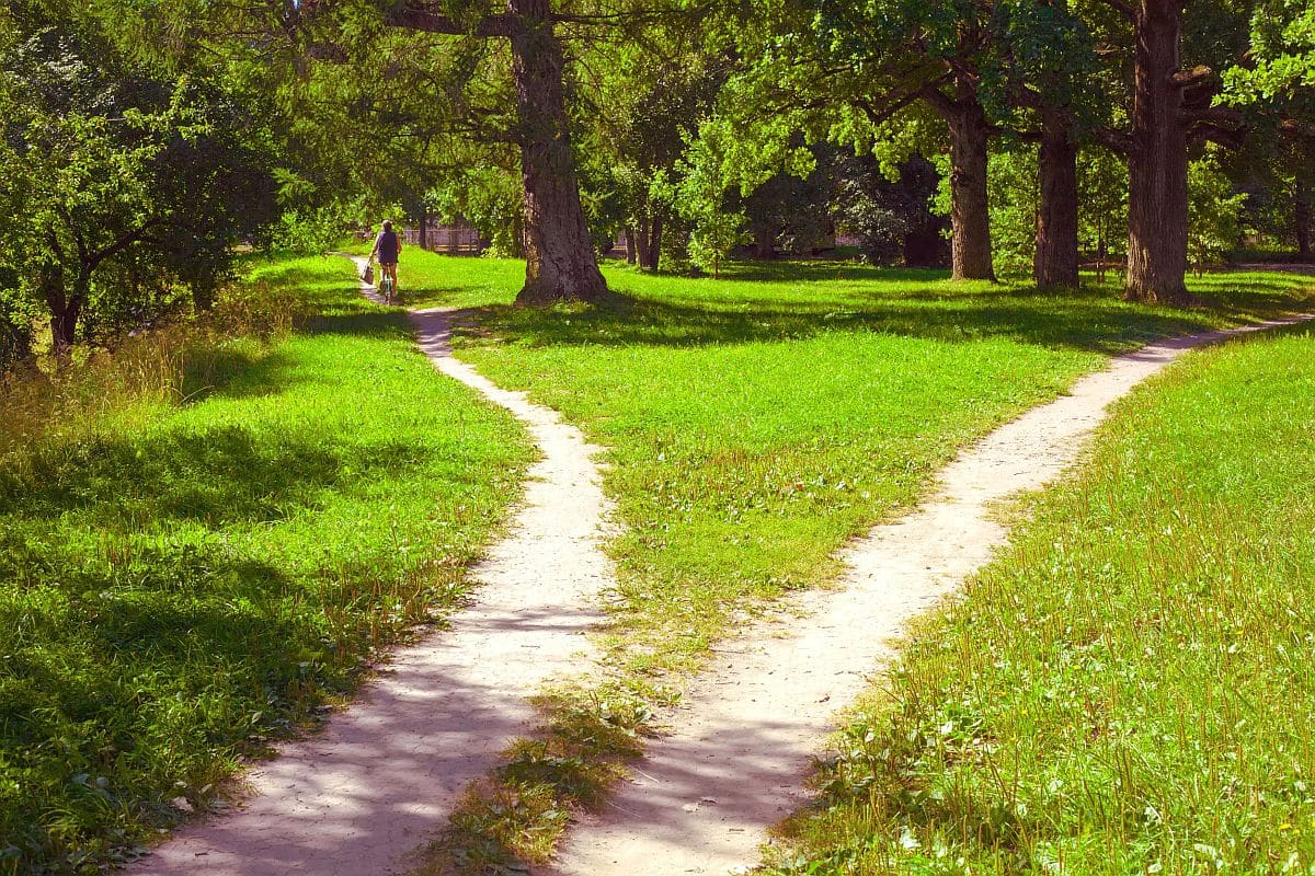 Two paths diverging and a lone cyclist on one of them drives away. Summer landscape; career maps concept