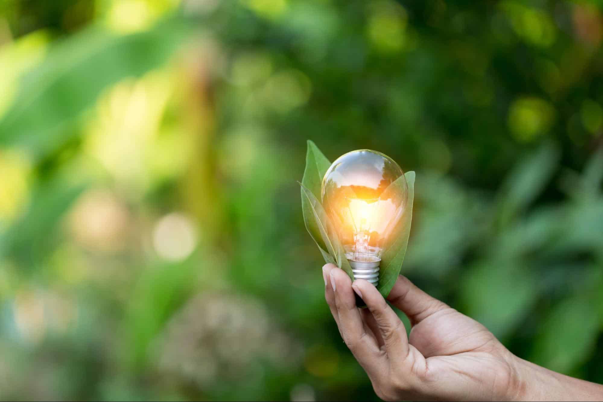 hand holding a lightbulb and leaves; talent intelligence platform concept