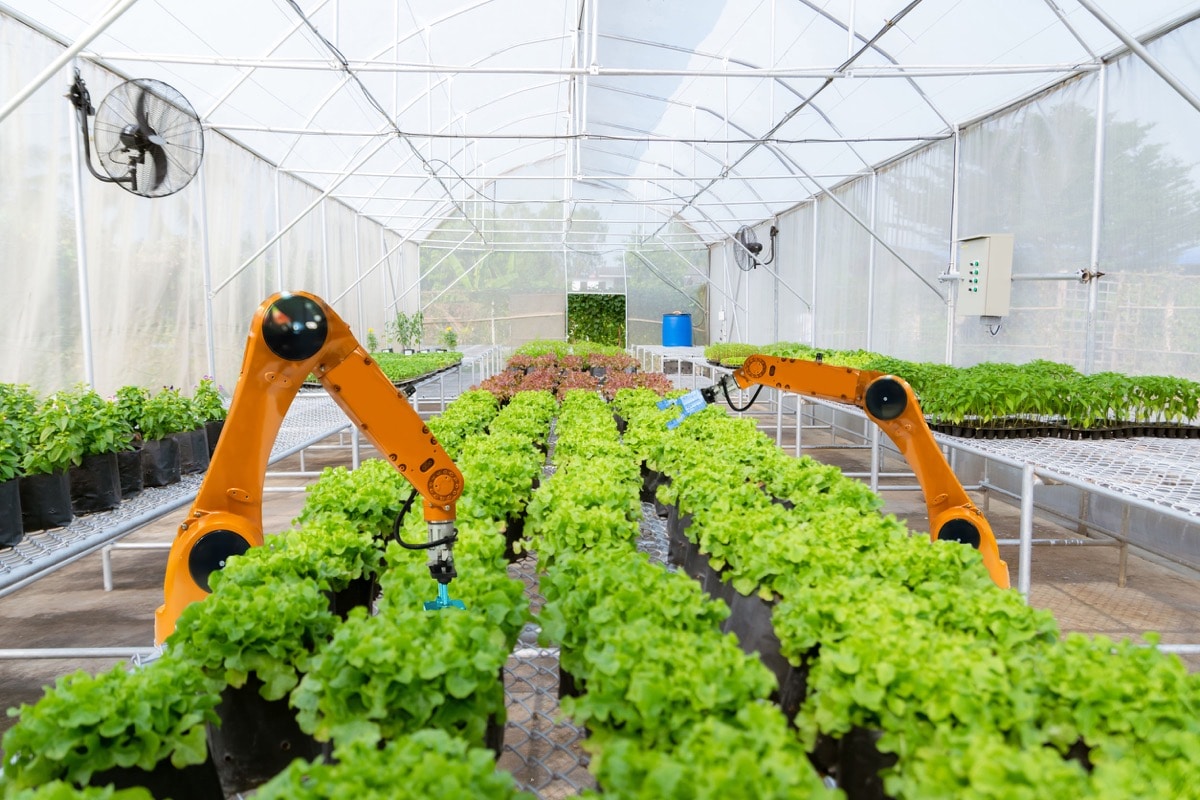 Smart robotic farmers harvest in agriculture futuristic; AI in 2020 concept