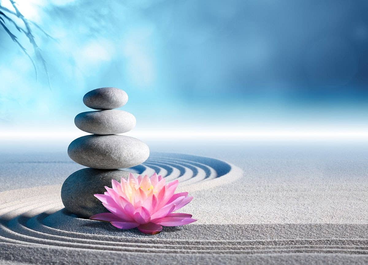 four smooth stones gently balanced in a stack beside a pink flower; concept: supporting working parents as they return to the office